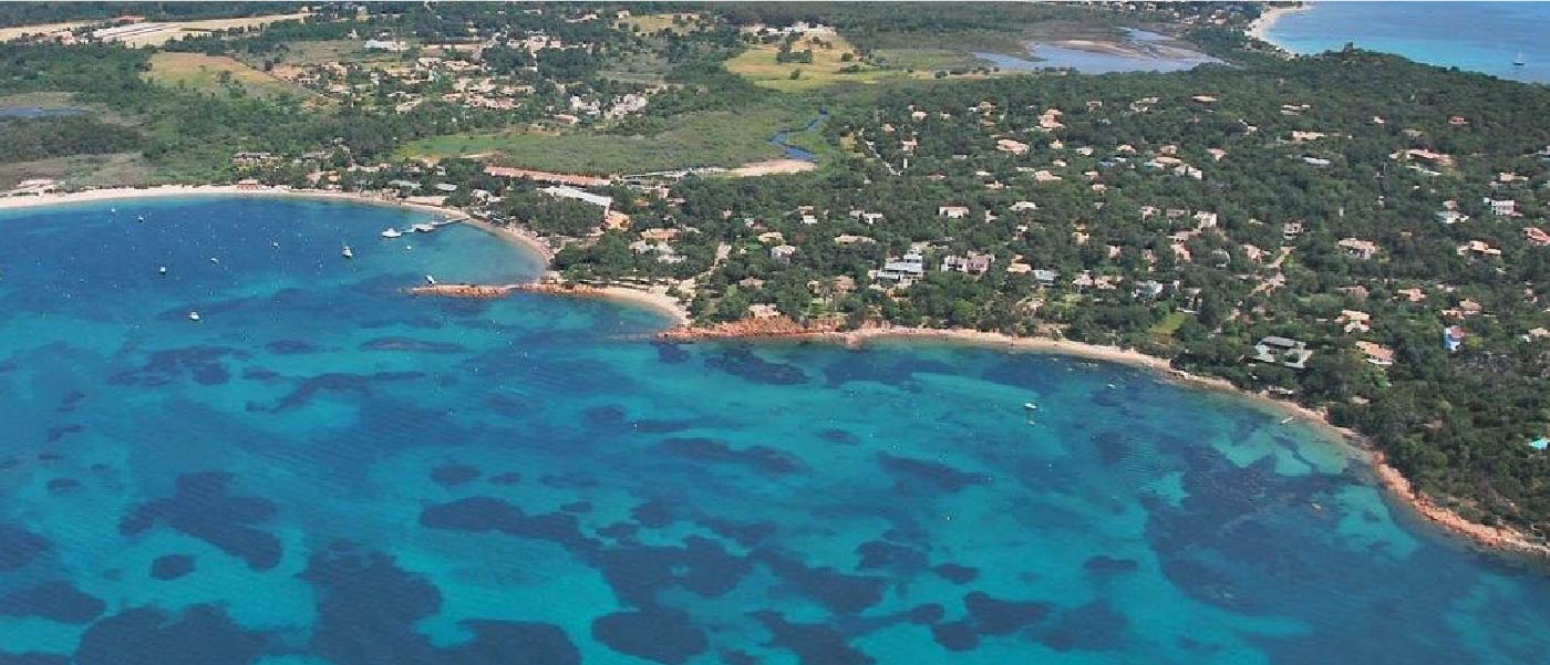 Cala1-50
